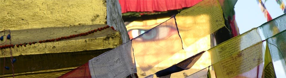 The Four Thoughts That Change the Mind