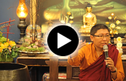 [Watch Rinpoche Fully Being Video]