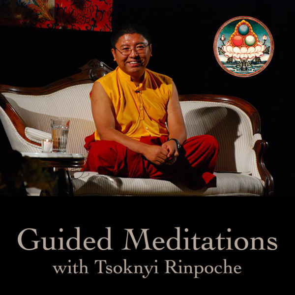 Guided Meditations - Tsoknyi Rinpoche