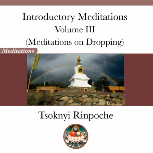 Introductory Meditations Volume III
